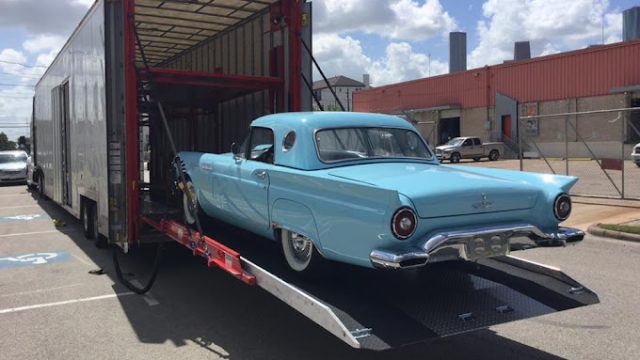 Mist Creek Transport